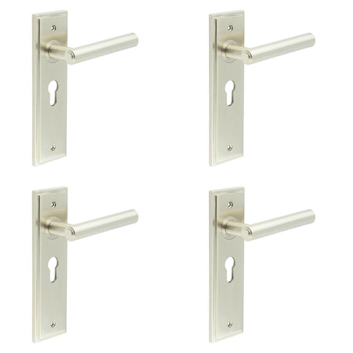 PACK Satin Nickel Euro Backplate Door Handle Elegant Solid Brass Design Solid Brass Interior Lever