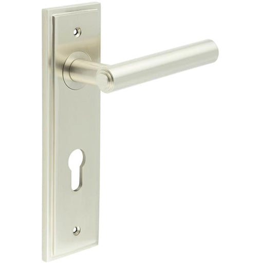 Satin Nickel Euro Backplate Door Handle Elegant Solid Brass Lever Solid Brass Interior Lever