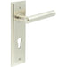 Satin Nickel Euro Backplate Door Handle Elegant Solid Brass Lever Solid Brass Interior Lever