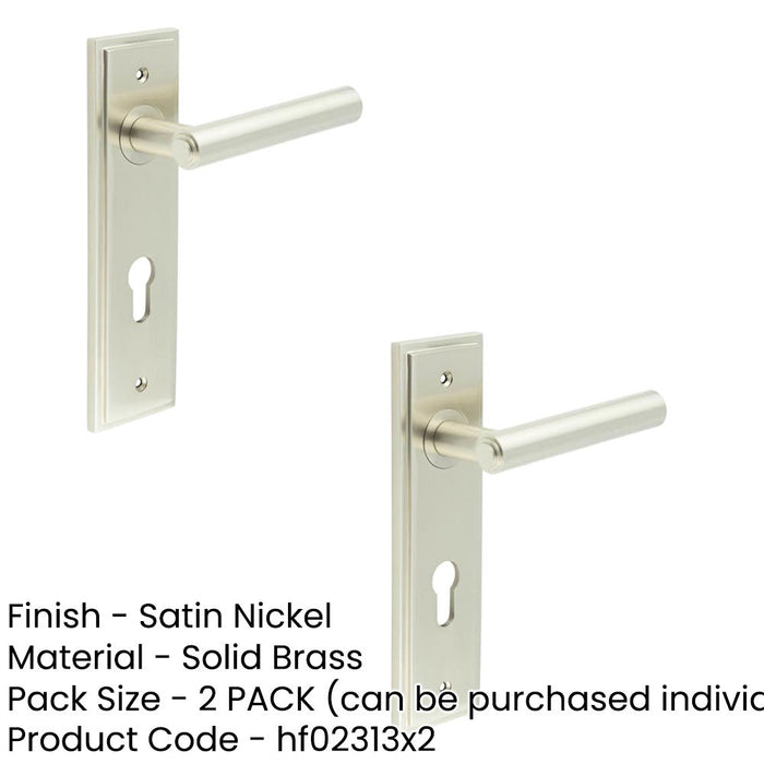 PACK Satin Nickel Euro Backplate Door Handle Elegant Solid Brass Lever Solid Brass Interior Lever (1)-1