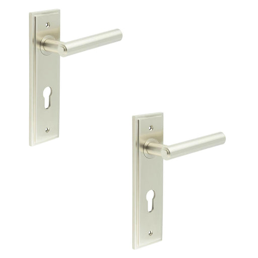 PACK Satin Nickel Euro Backplate Door Handle Elegant Solid Brass Lever Solid Brass Interior Lever (1)