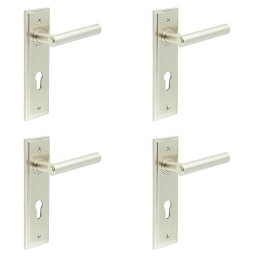 PACK Satin Nickel Euro Backplate Door Handle Elegant Solid Brass Lever Solid Brass Interior Lever