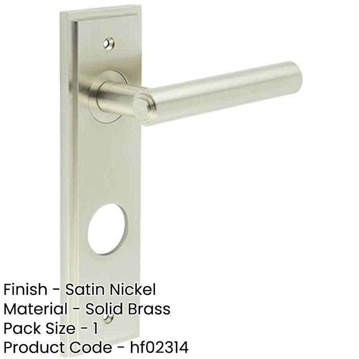 Elegant Satin Nickel Door Handle with Backplate Bathrooms Solid Brass Interior Lever-1