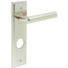 Elegant Satin Nickel Door Handle with Backplate Bathrooms Solid Brass Interior Lever