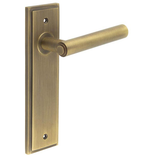 Elegant Antique Brass Door Handle Latch Backplate Timeless Appeal Solid Brass Interior Lever