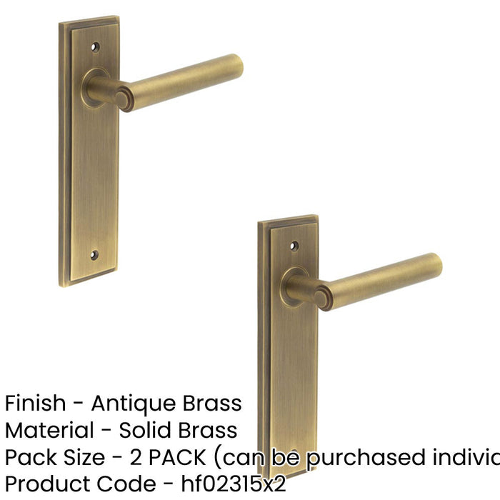 PACK Elegant Antique Brass Door Handle Latch Backplate Timeless Appeal Solid Brass Interior Lever (1)-1
