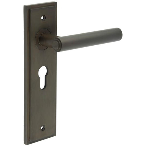 Elegant Dark Bronze Euro Backplate Door Handle Solid Brass Interior Lever