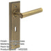 Antique Brass Door Handle Lock Backplate Elegant Durable Solid Brass Interior Lever-1