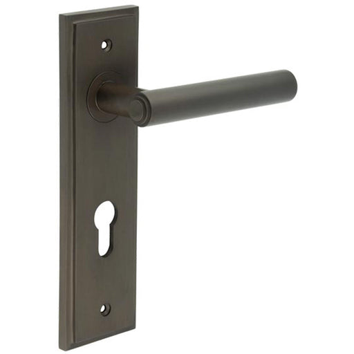 Elegant Dark Bronze Door Handle with Euro Backplate Solid Brass Interior Lever (1)