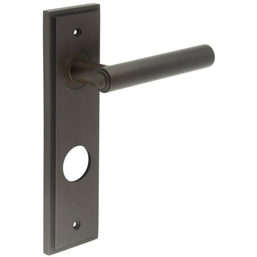 Luxurious Dark Bronze Door Handle with Backplate Bathrooms Solid Brass Interior Lever