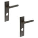 PACK Luxurious Dark Bronze Door Handle with Backplate Bathrooms Solid Brass Interior Lever (1)