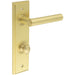 Satin Brass Bathroom Door Handle with Backplate Turn Release Solid Brass Interior Lever