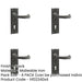 PACK Elegant Black Suite Door Handle with Lockplate Modern Homes Interior Lever Backplate-1