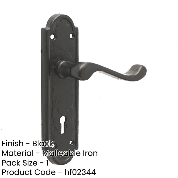 Elegant Black Suite Door Handle with Lockplate Interior Lever Backplate-1