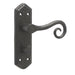 Elegant Black Suite Door Handle with Bathroom Plate Interior Lever Backplate