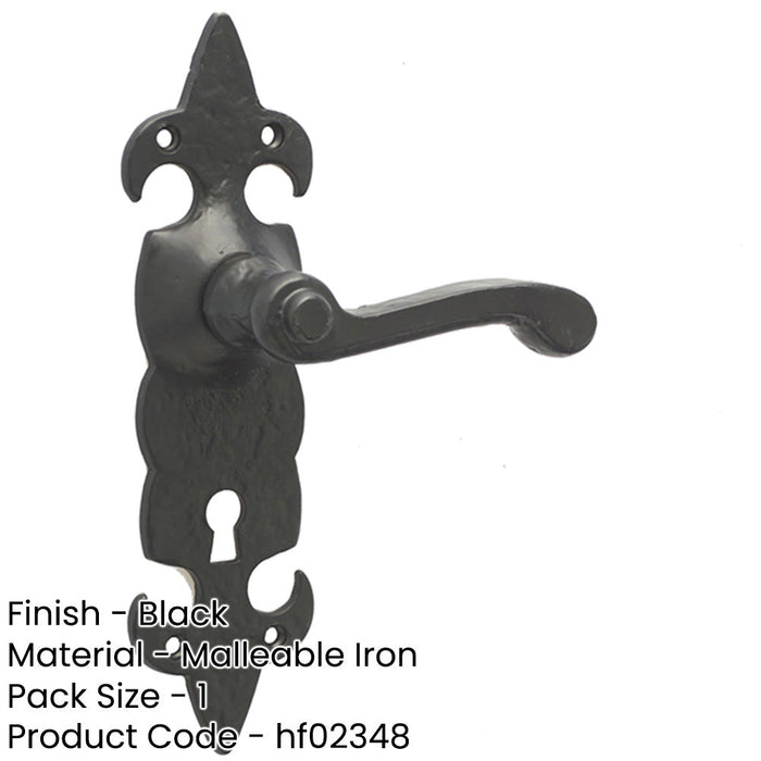 Elegant Fleur Black Door Handle with Lockplate Classic Homes Interior Lever Backplate-1