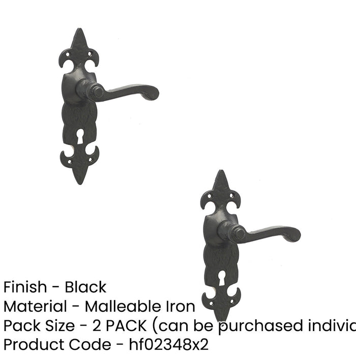 PACK Elegant Fleur Black Door Handle with Lockplate Classic Homes Interior Lever Backplate (1)-1