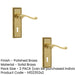 PACK Elegant Georgian Suite Polished Brass Door Handle with Lockplate Interior Lever Backplate (1)-1