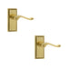 PACK Elegant Georgian Suite Door Handle with Polished Brass Finish Interior Lever Backplate (1)
