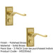 PACK Elegant Georgian Suite Door Handle with Privacy Plate Polished Brass Interior Lever Backplate (1)-1