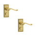 PACK Elegant Georgian Suite Door Handle with Privacy Plate Polished Brass Interior Lever Backplate (1)