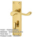 Elegant Victorian Scroll Door Handle with Polished Brass Finish Bathroom Plates Interior Lever Backplate-1