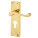 Elegant Victorian Scroll Door Handle with Euro Profile Lockplate Polished Brass Finish Interior Lever Backplate