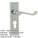 Elegant Victorian Scroll Door Handle with Satin Chrome Finish Euro Profile Locks Interior Lever Backplate-1