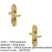 PACK Contemporary Suite Door Handle with Bathroom Plate Polished Brass Finish Interior Lever Backplate (1)-1