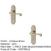 PACK Victorian Antique Bronze Suite Door Handle with Latchplate Interior Lever Backplate (1)-1