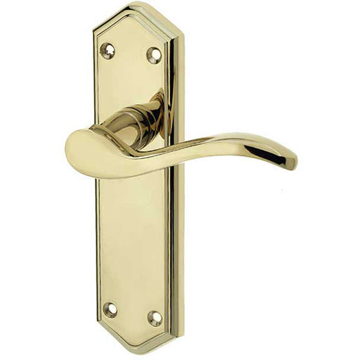 Elegant Suite Door Handle Brass Latchplate Modern Interiors Interior Lever Backplate