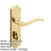 Stylish Suite Door Handle with Brass Finish Bathrooms Interior Lever Backplate-1