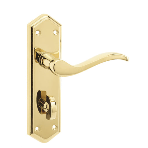 Stylish Suite Door Handle with Brass Finish Bathrooms Interior Lever Backplate