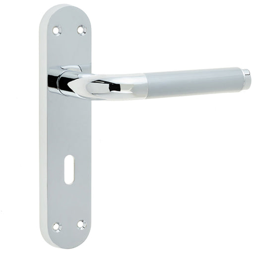 Elegant Twin Suite Door Handle Polished Satin Chrome Finish Interior Lever Backplate