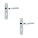 PACK Elegant Twin Suite Door Handle Polished Satin Chrome Finish Interior Lever Backplate (2)