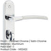 Elegant Dual-Finish Door Handle Polished Satin Chrome Interior Lever Backplate-1