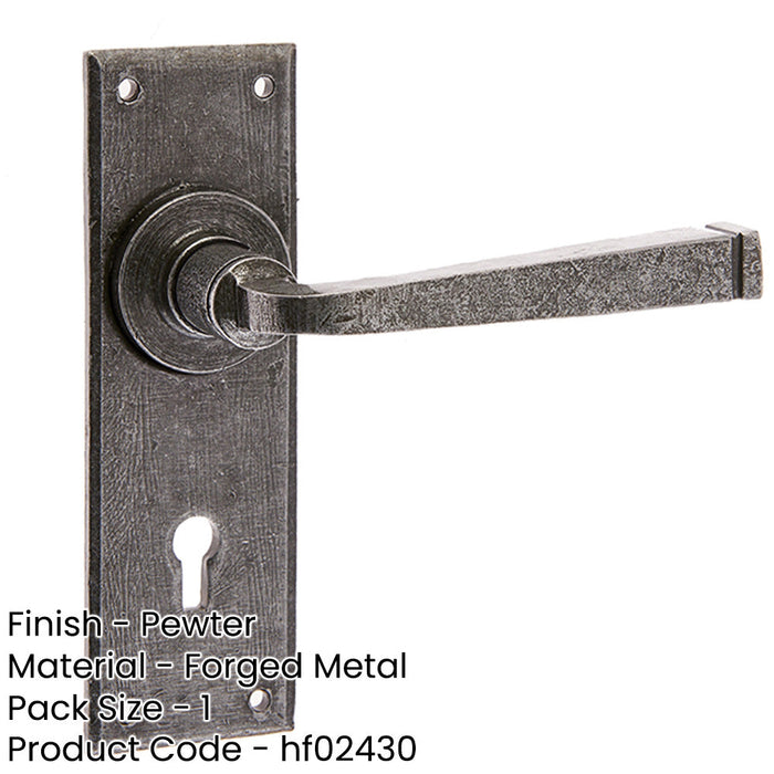 Rustic Pewter Door Handle Lockplate Unique Home Decor Interior Lever Backplate-1