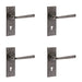 PACK Rustic Pewter Door Handle Lockplate Unique Home Decor Interior Lever Backplate