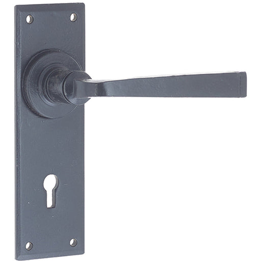 Unique Black Door Handle Lockplate Rustic Homes Interior Lever Backplate