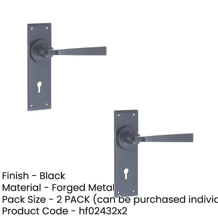 PACK Unique Black Door Handle Lockplate Rustic Homes Interior Lever Backplate (1)-1