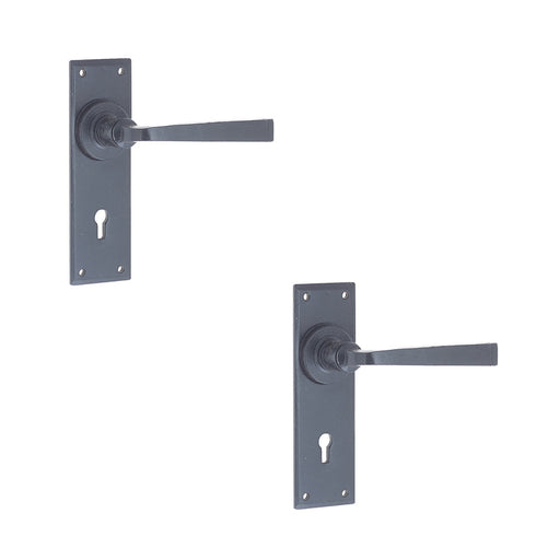 PACK Unique Black Door Handle Lockplate Rustic Homes Interior Lever Backplate (1)