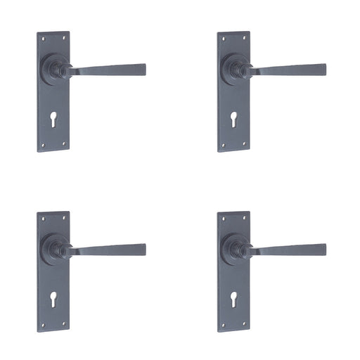 PACK Unique Black Door Handle Lockplate Rustic Homes Interior Lever Backplate