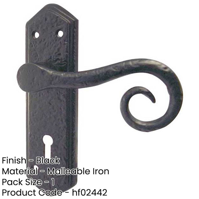 Elegant Black Suite Door Handle with Lockplate Interior Lever Backplate (1)-1