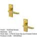 PACK Elegant Victorian Straight Door Handle with Polished Brass Finish Interior Lever Backplate (1)-1