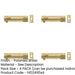 PACK Polished Brass Necked Barrel Bolts 102x25mm Enhanced Security Door Bolt-1