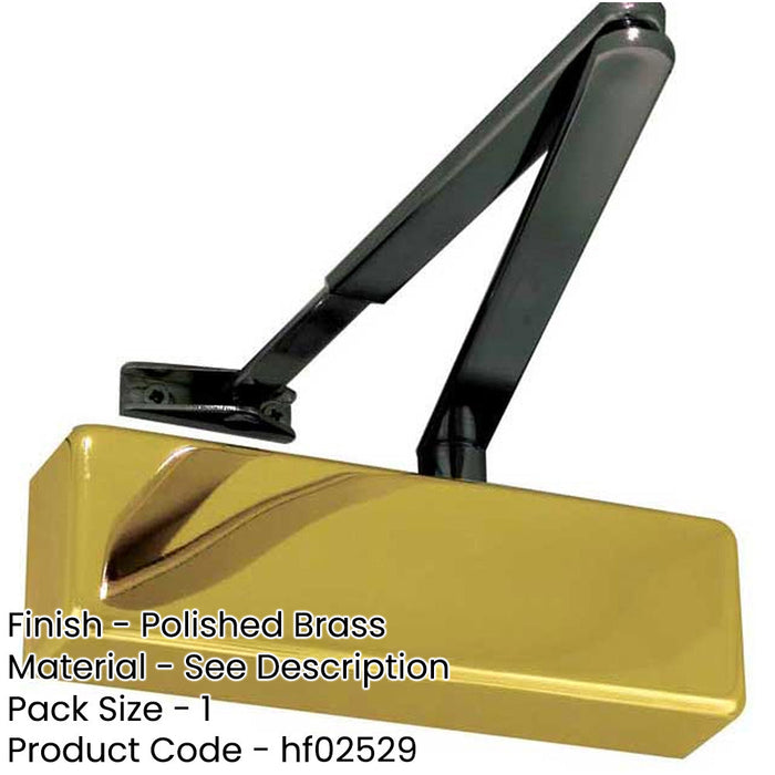 Premium Standard Door Control with Polished Brass Black Arms-1
