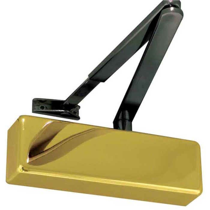 Premium Standard Door Control with Polished Brass Black Arms