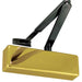 Premium Standard Door Control with Polished Brass Black Arms
