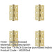 PACK High-Quality Stainless Steel Grade Ball Bearing Hinge 76x50mm with Brass Finish Door Hinges-1