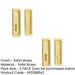 PACK Satin Brass Rectangular Turn Release Doors Door Handle (1)-1